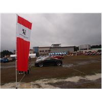 Peugeot Meeting16-05.JPG